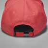 Gorra Jordan Classic99 Metal Salmon