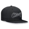 Gorra Nike MBL Plana Chicago B Cerrada